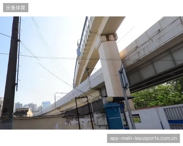 超五成国际路跑赛事引入标准化交通协同协议，跨城服务溢价成为盈利新增长极